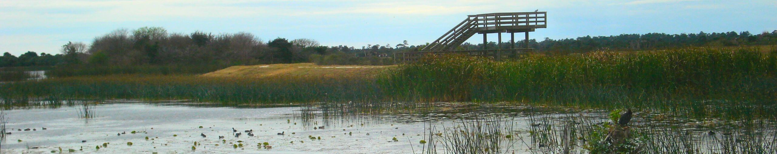 Ritch Grissom Memorial Wetlands. Brevard, Melbourne. Florida.