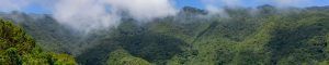 Road Trip Isla de La Palma. Islas Canarias.