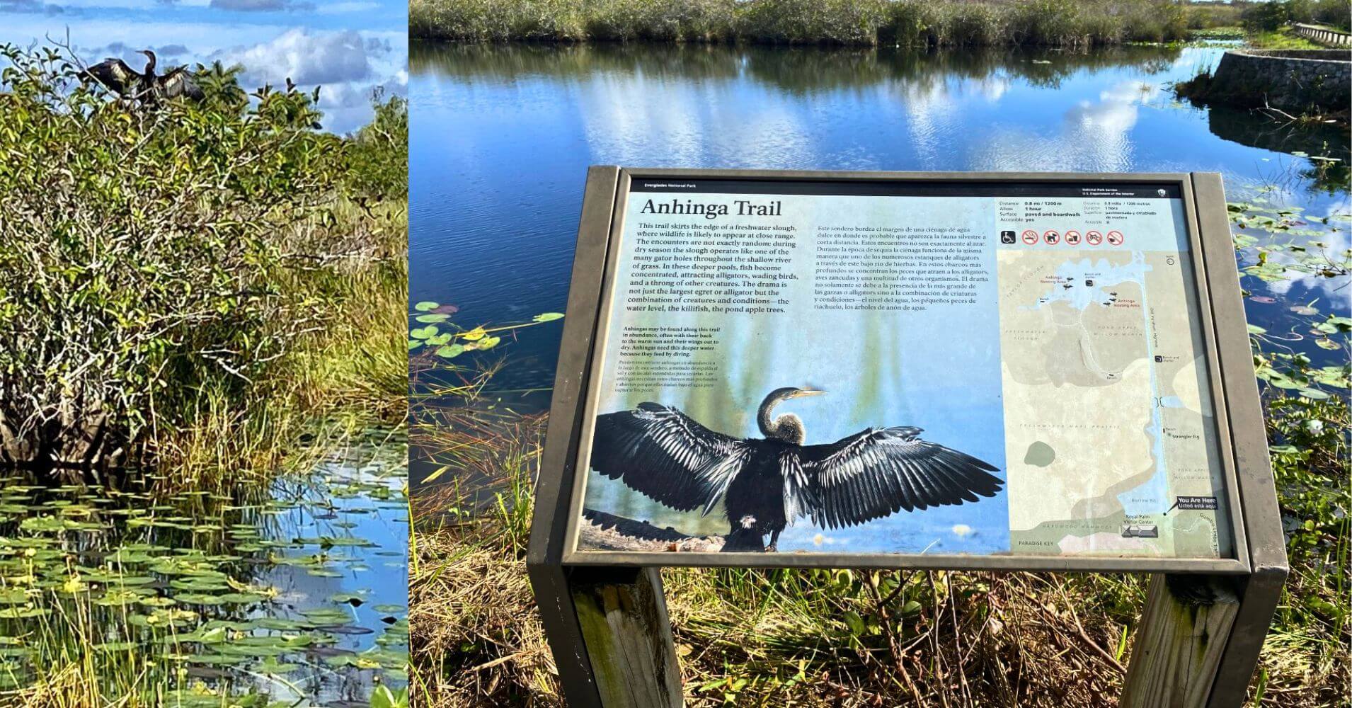 Royal Palm Visitor Center. Anhinga Trail, Florida. Estados Unidos.