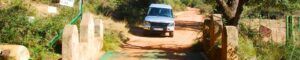 Ruta 4x4 Berrea del Ciervo. Montes de Toledo.