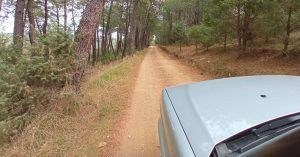 Ruta 4x4 Valle de Iruelas. Pinares de El Tiemblo, Ávila. Castilla y León.