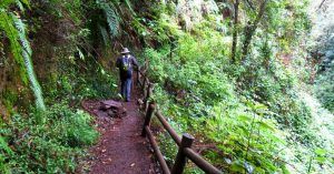Ruta de El Cubo de la Galga. La Palma en Invierno. Islas Canarias.