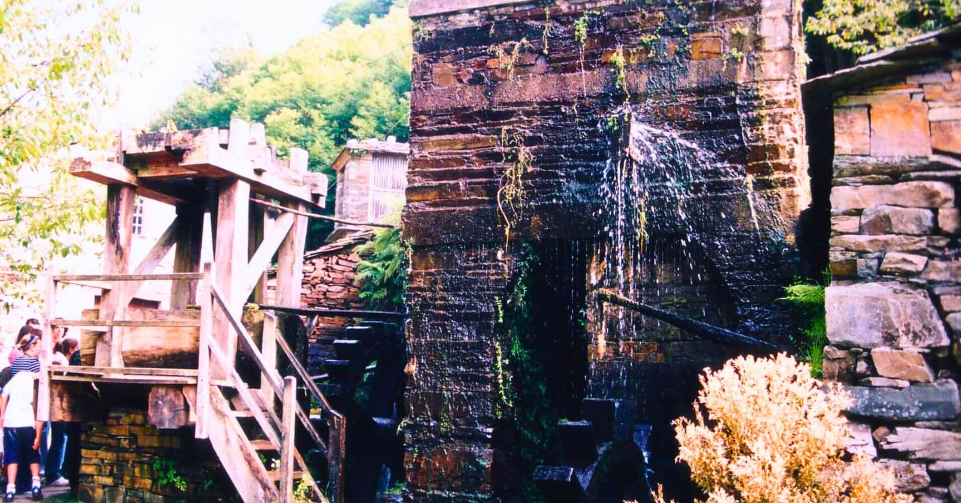 Ruta del Teixo, Os Teixos, Asturias.