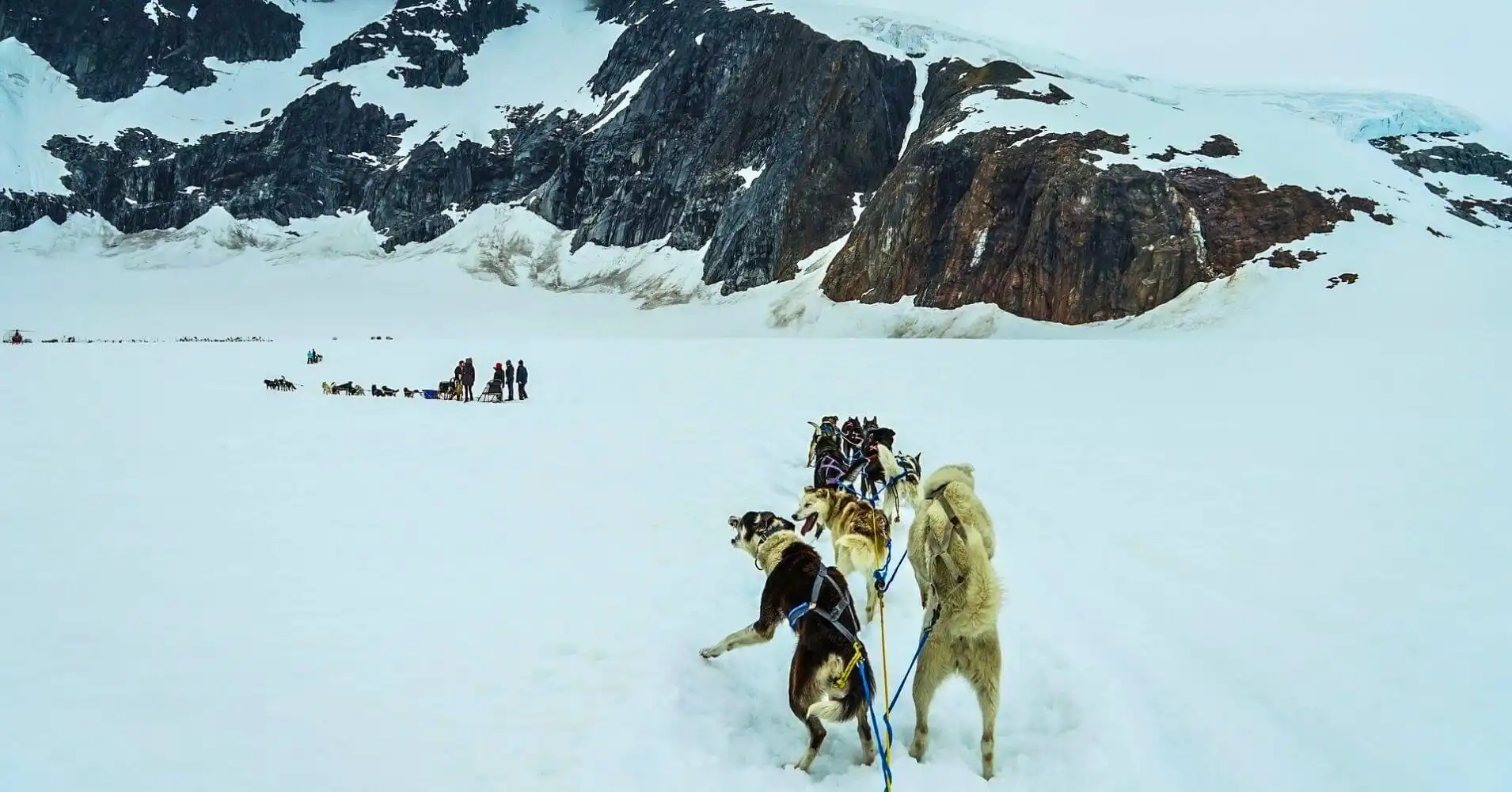 Ruta en Trineo de Perros en Alaska. Estados Unidos.