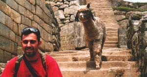Ruta Inca Machu Picchu. Llama en la Visita a la Ciudad Inca. Perú.