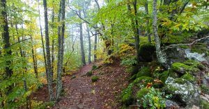 Rutas de Otoño en Andalucía.