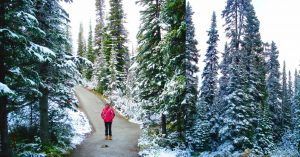 Rutas de Trekking del Parque Nacional de Banff. Alberta, Canadá.