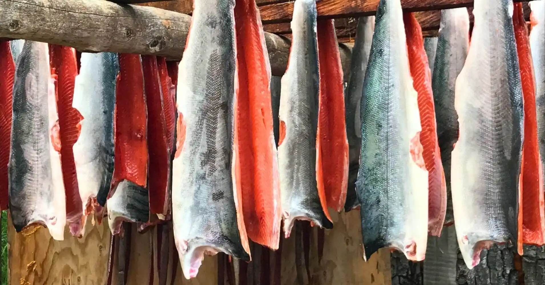 Secadero de Salmón en Alaska. Estados Unidos.