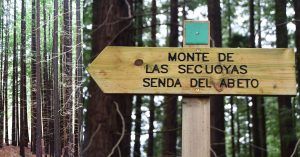 Senda del Abeto del Monte de las Secuoyas. Cabezón de la Sal, Cantabria.