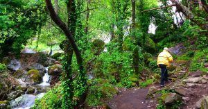Sendero de la Garganta de Las Nogaledas. Navaconcejo, Cáceres. Extremadura.