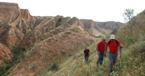Senderismo en las Barrancas de Castrejon. Burujón. Toledo. Castilla la Mancha.