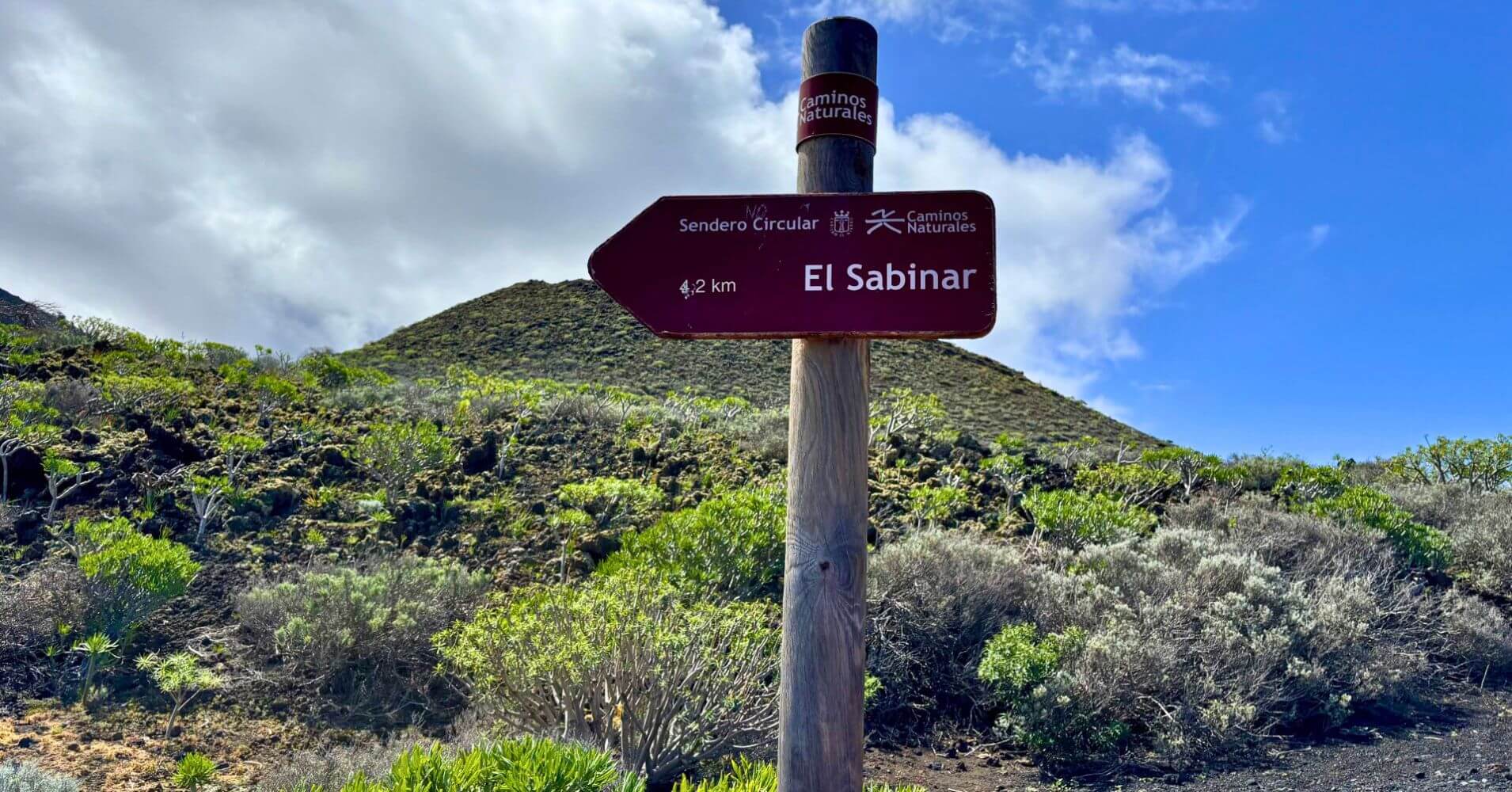 Sendero El Sabinar. Isla de El Hierro, Canarias.