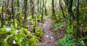 Sendero de la Vía Ferrata El Cáliz, Ramales de la Victoria. Cantabria.