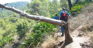 Sendero GR 92. Monte Cenizas. Murcia.