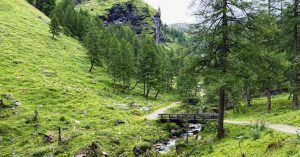 Sendero Mina de Oro Goldwaschen. Carintia, Austria.