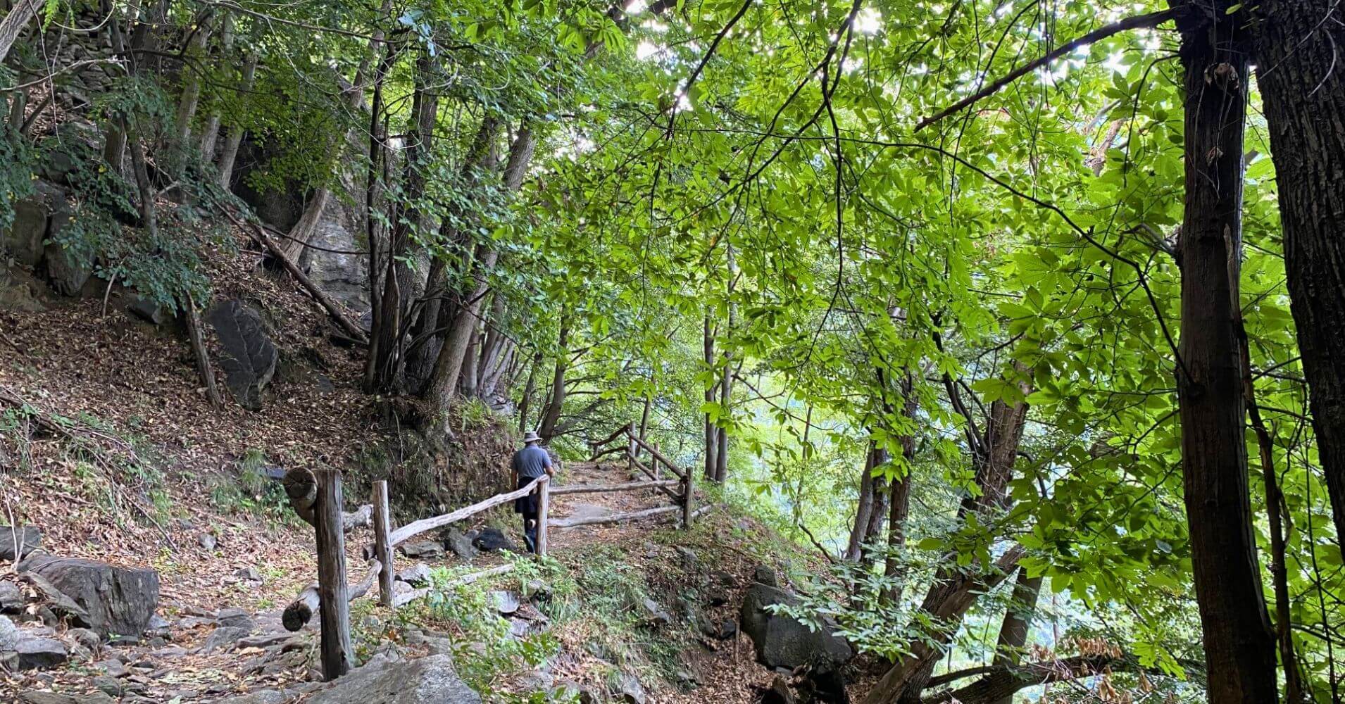 Sendero por el Bosque del Valle Bregaglia. Borgonuovo, Lombardía, Italia.
