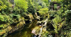 Sendero River Trail. Tollymore Forest Park, Irlanda del Norte y Juego de Tronos.