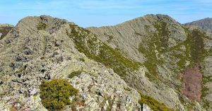 Sierra de Ayllón. Guadalajara. Castilla La Mancha.