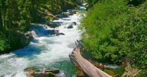 Snake River, Parque Nacional Grand Tetón. Jackson, Wyoming. Estados Unidos.