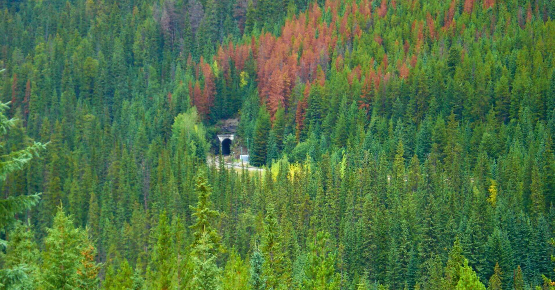 Spiral Tunnels, Parque Nacional Yoho. Columbia Británica, Canadá. Spiral Tunnels, Parque Nacional Yoho. Columbia Británica, Canadá.