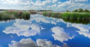 Parque Nacional de las Tablas de Daimiel. Ciudad Real, Castilla la Mancha.