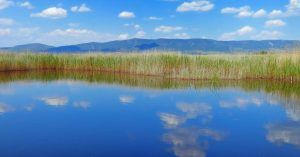 Tablas Espejo Manchego. Parque Nacional de las Tablas de Daimiel. Ciudad Real, Castilla la Mancha.