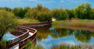 Tablas Espejo Manchego. Parque Nacional de las Tablas de Daimiel. Ciudad Real, Castilla la Mancha.