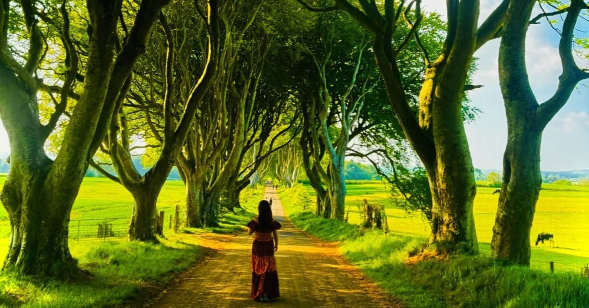 The Dark Hedges. Irlanda del Norte y Juego de Tronos.
