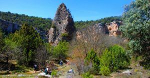 Tormo y Bosques del Cañón del Río Mesa, Zaragoza. Aragón
