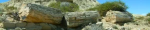 Troncos de Piedra en la Ruta del Bosque Petrificado de La Leona. El Calafate, Argentina.