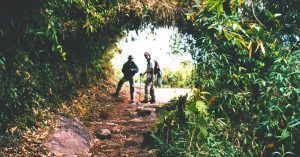 Túnel de Vegetación. Ruta Inca Machu Picchu. Perú.