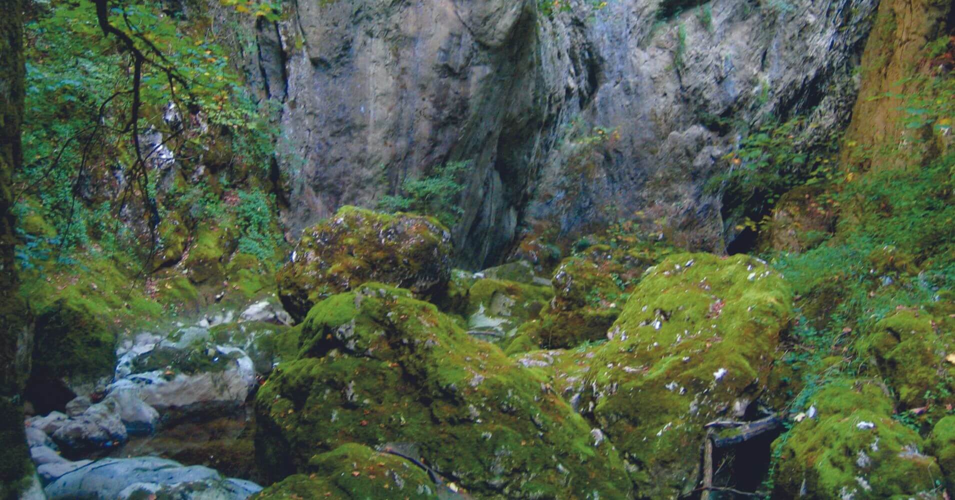 Entrada de la Cueva de Pazin. Croacia.