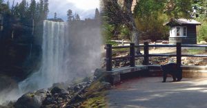 Vernal Fall y Oso Negro. Parque Nacional de Yosemite. California. Estados Unidos.