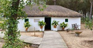Viaje a Huelva. Centro de Visitantes La Rocina. Huelva, Andalucía.