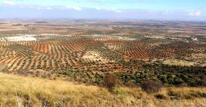 Vistas Panorámicas desde la Cumbre de Sierra de Nambroca y Cerro Marica. Toledo.