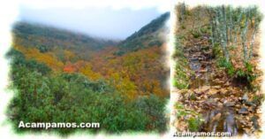 Vistas y Arroyo en Otoño en los Montes de Toledo.