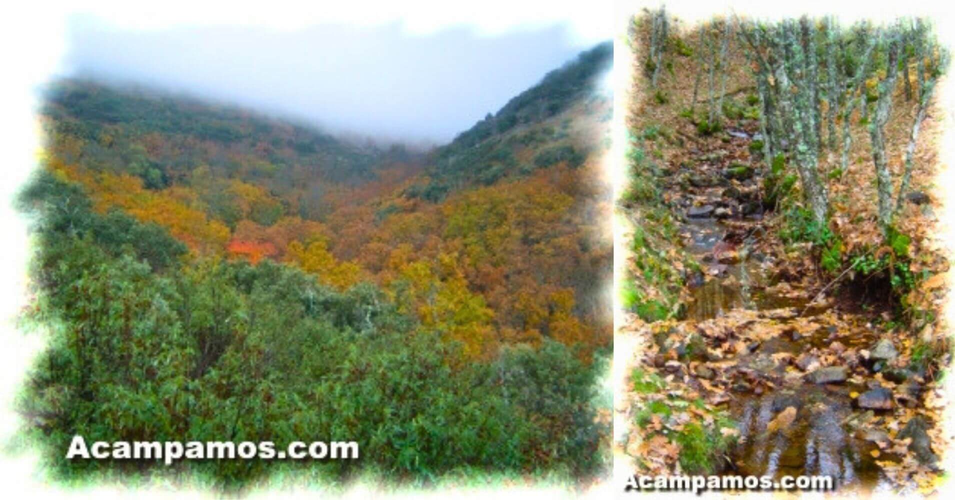 Vistas y Arroyo en Otoño en los Montes de Toledo.