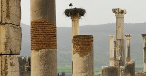Volubilis, Mulay Idris. Marruecos.