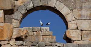 Volubilis Tesoros Olvidados. Mulay Idris, Marruecos.