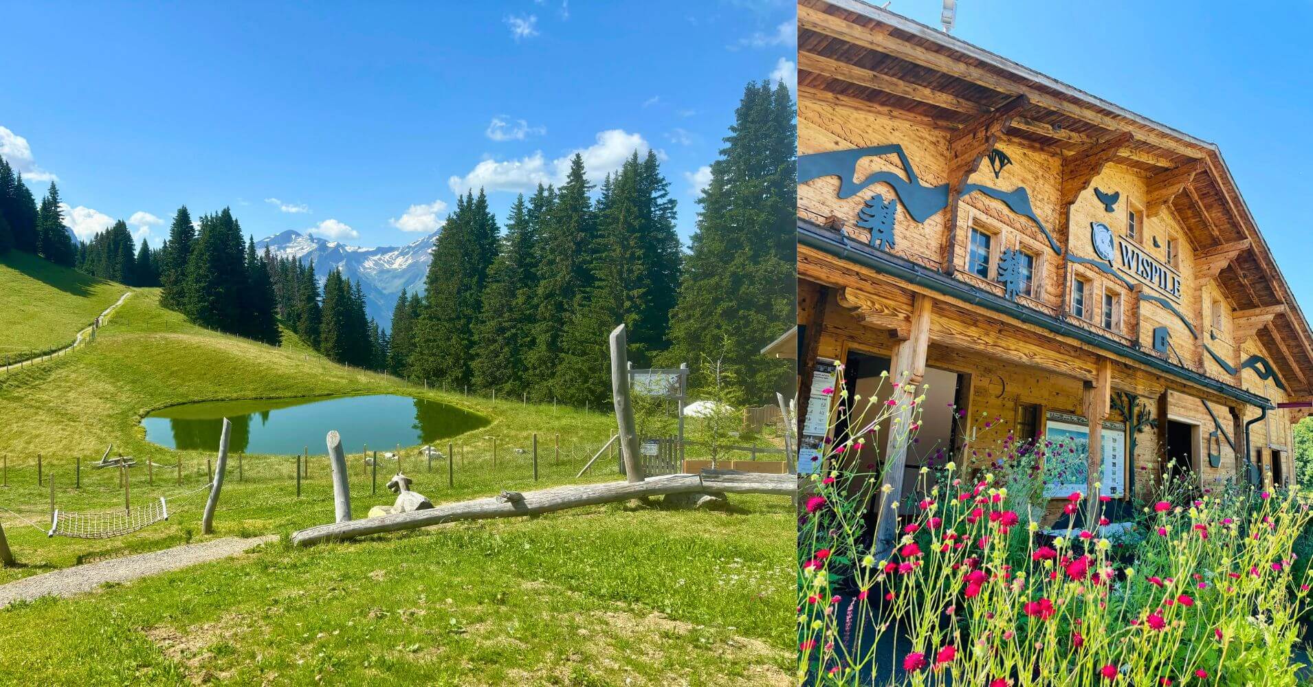 Wispile. Gstaad. Saanen. Suiza.